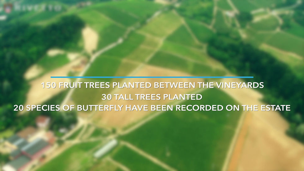 Thumbnail: Rivetto Leon Riserva Barolo DOCG 2014