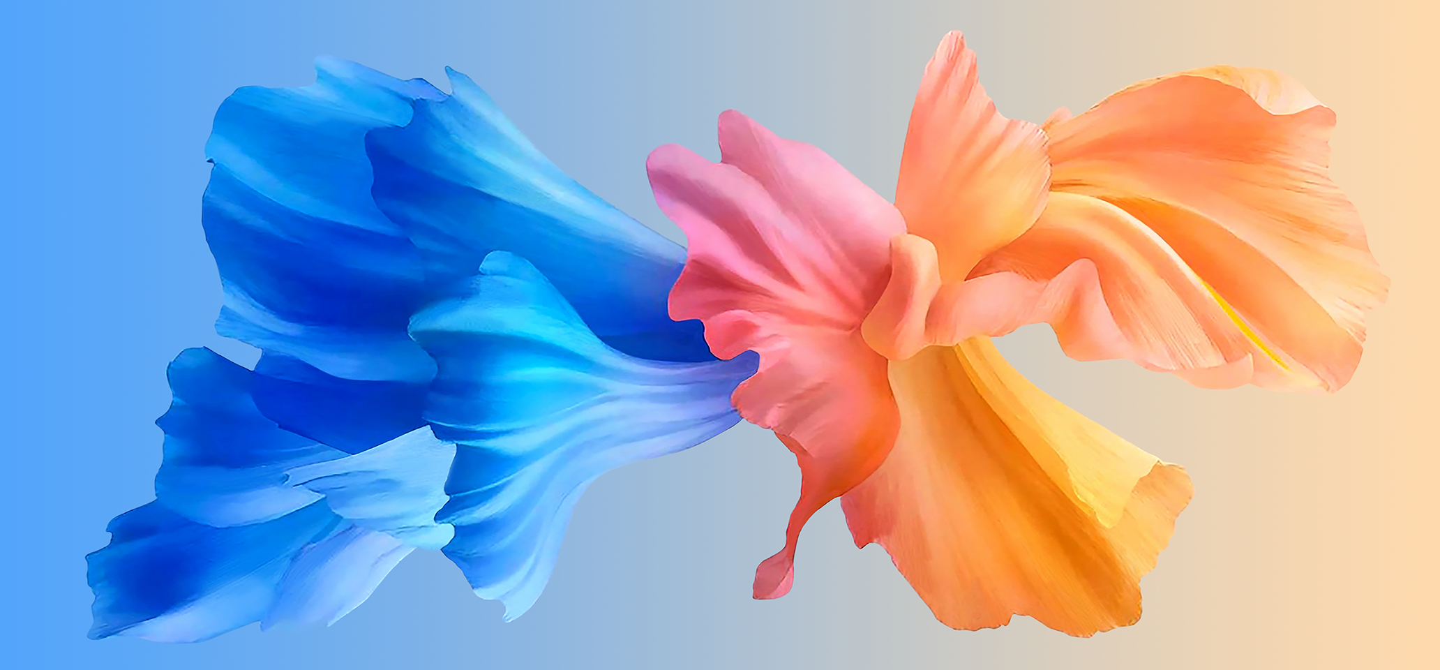 60x100 Crystal Clear Graphic Art Film - 5 Mil