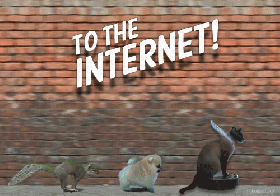 internet2.gif_w=280&h=200.gif