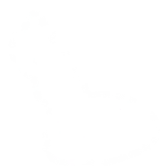 folla_edited.png