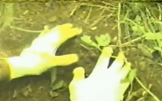 ezgif.com-gif-maker(12).gif