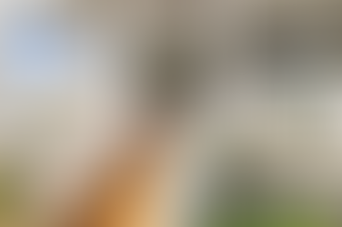 Why Matchett Constructions is a Leader in Character Overlay Home Design