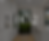 No 2.M.png