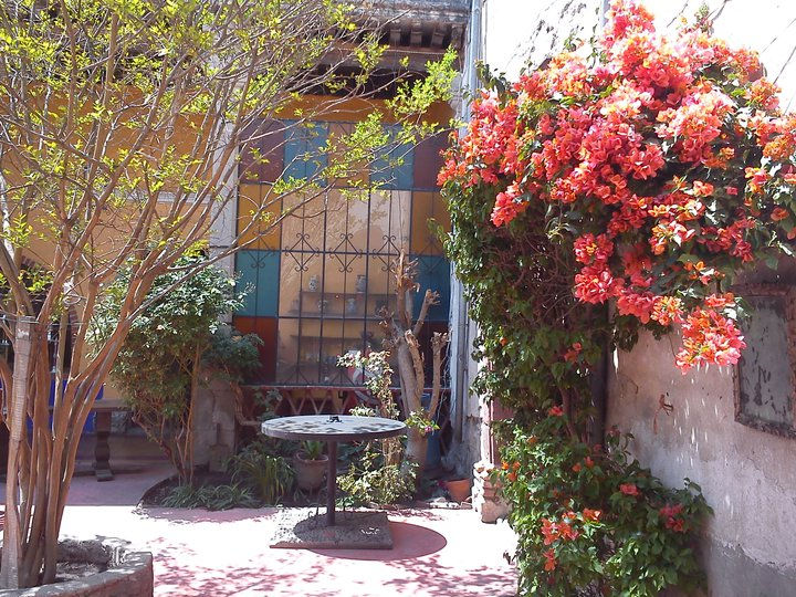 Primer patio en primavera