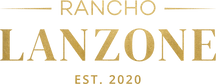 logo_website.png