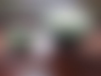 新米の販売が始まりました!!