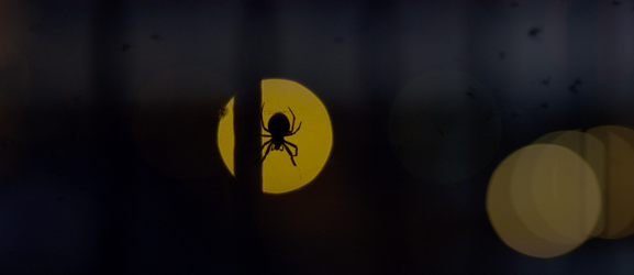 Skærmbillede 2022-02-23 kl. 14.06.26