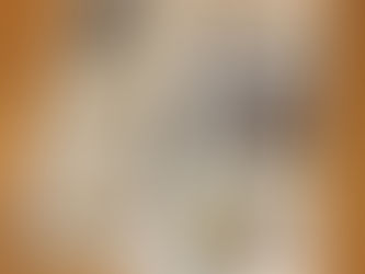 三つ折りパンフレット