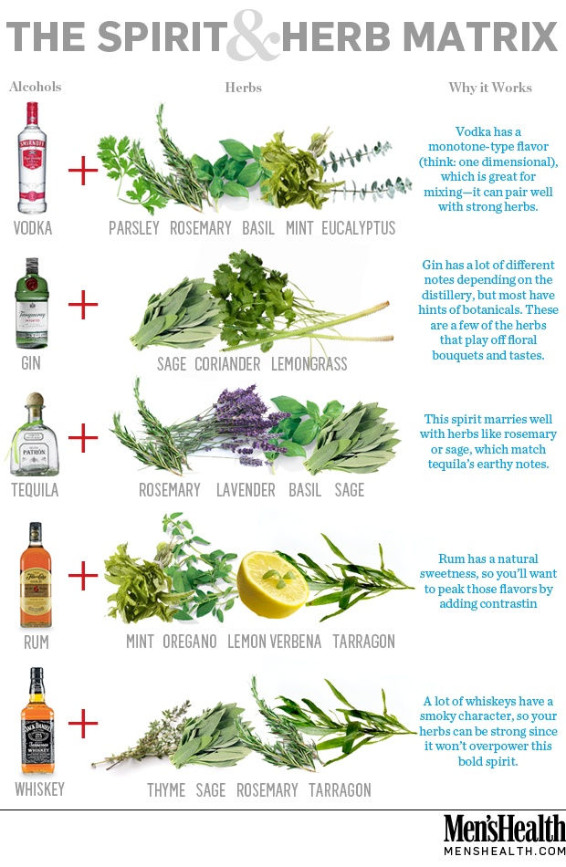 cocktail - poster herbs & spirits.jpg