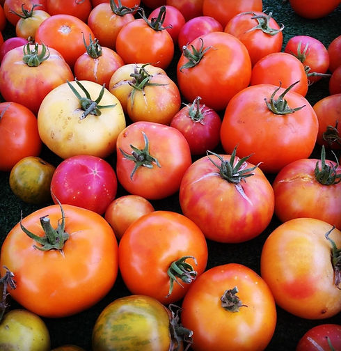 Local LA Farmers' Markets Overview (3)_edited.jpg