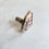 Thumbnail: wabi sabi: china ring