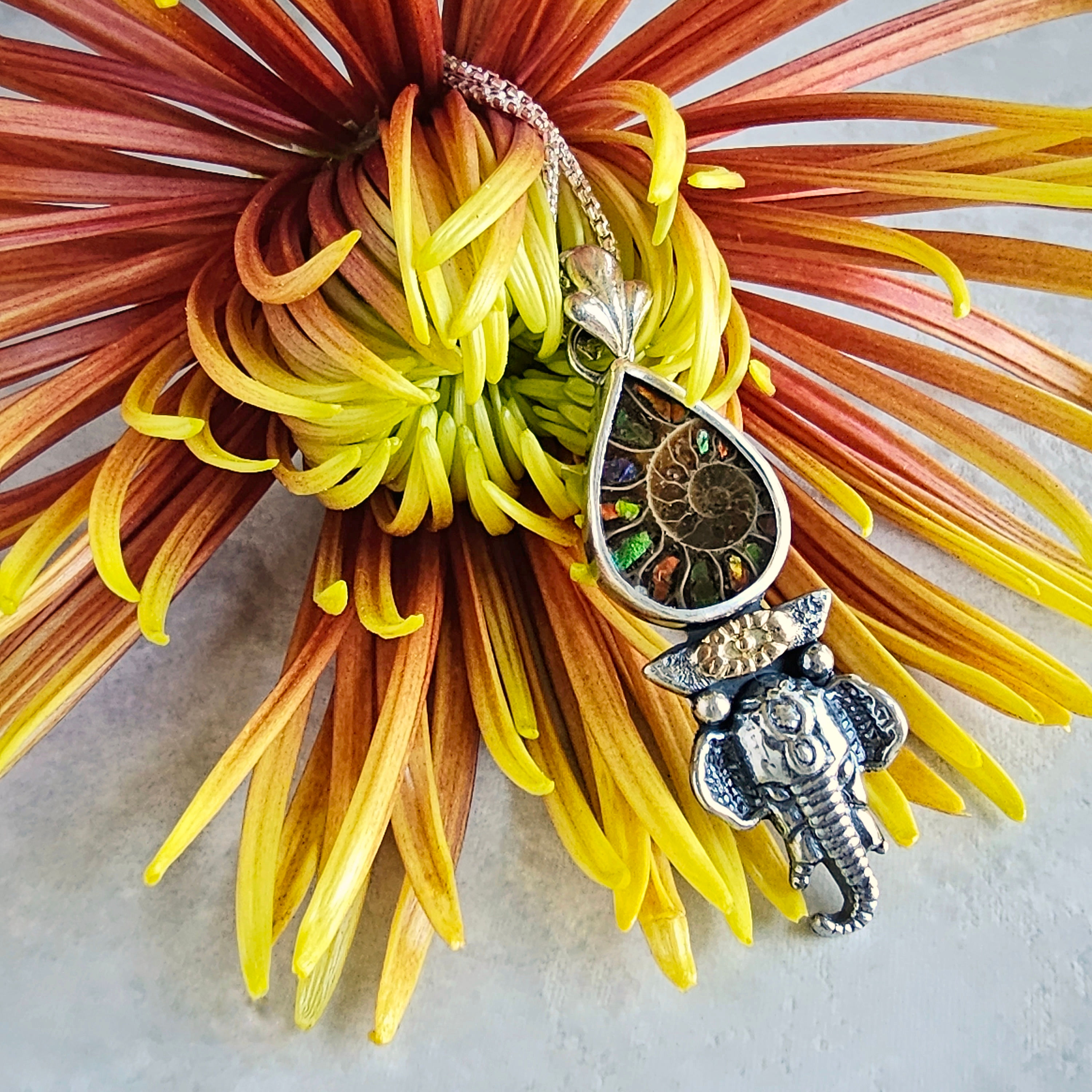 ammonite with ammolite inlay, 14k gold