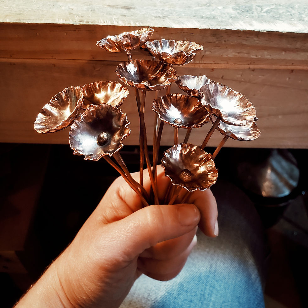 Thumbnail: flowerpot poppies