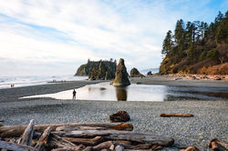 Ruby Beach, WA