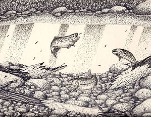 Pen and Ink drawing Sold art work prints available