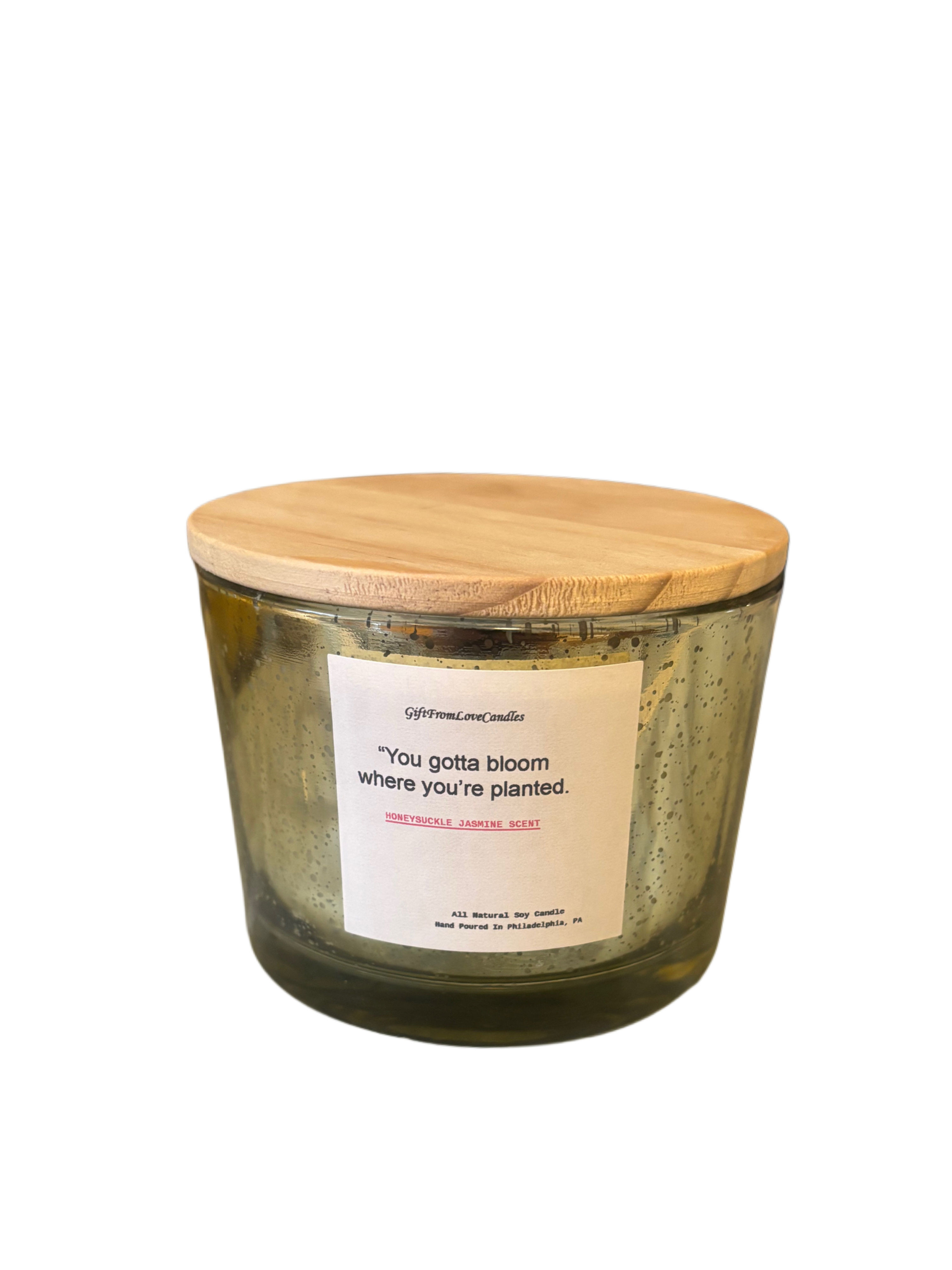 You gotta bloom where you’re planted 