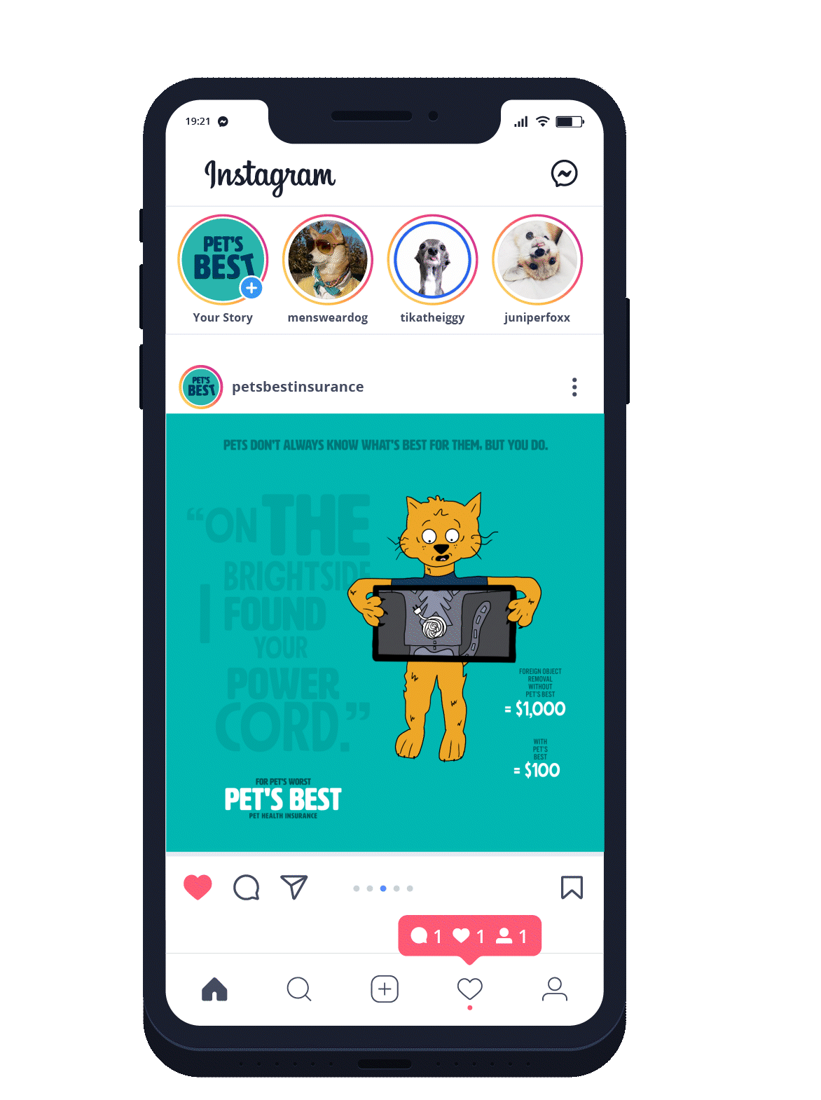 Pet's Best Instagram Ad
