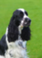 Grace C W 1.jpg
