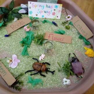 a tray of green rice, petals, leaves and bugs