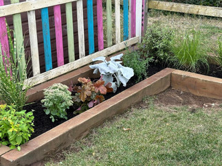 flower bed in nursery garden