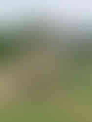 climbing frame and slide in nursery garden