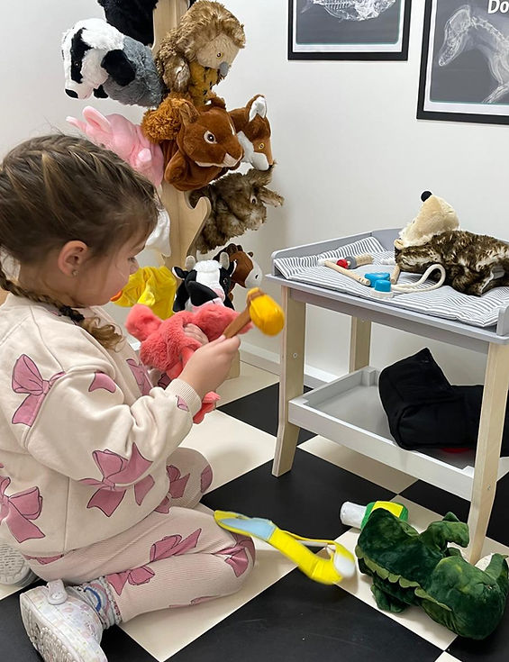 preschool girl playing with role play vet toys