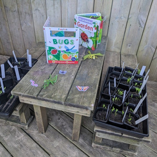 A garden bench with planted flowers in pots