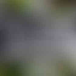 a tray with the word science written in foam