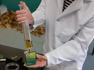 The Wild Ride of Creating a New American Fragrance