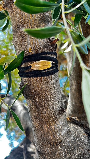 nature olive presentation.jpeg