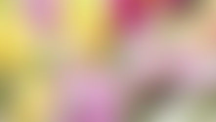 2026年1月26日　充実した一日でした