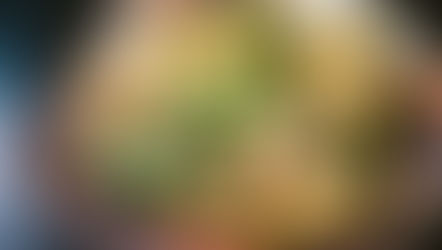 2025年6月20日　91歳の叔母の暮らし！