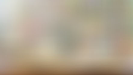 2024年12月13日　ある書店の書籍紹介文より