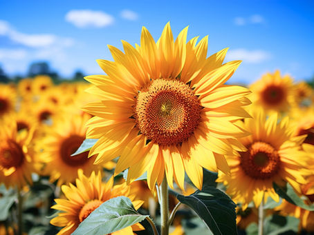 2023年8月4日　みんな生きてるね！頑張っているね！ありがとう！