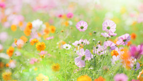 2023年12月11日　懐かしいF様！