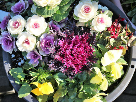 2023年12月14日　楽しい時間！