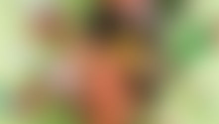 2025年1月9日　初めてのお節作り！