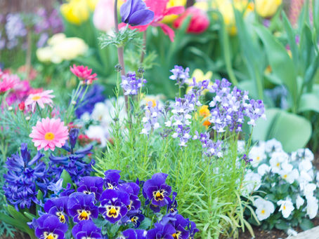 2023年4月13日　嬉しい再会でした！