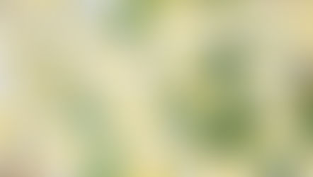 2025年3月14日　「順子さん、それって美しい？」