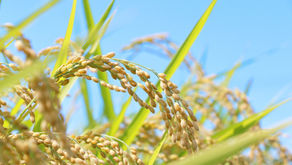 2025年12月23日 熱き心のHさん!