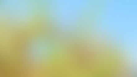 2025年12月23日 熱き心のHさん!