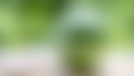 2025年8月6日　お休みの日！スイカを届けに・・