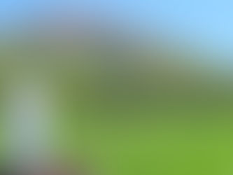 2024年8月27日　「余韻」に浸っています