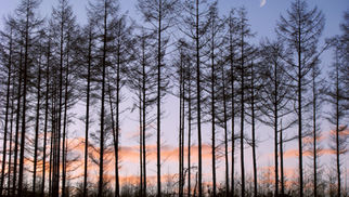 2025年12月1日　『徳は孤ならず必ず隣あり』