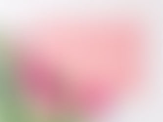 2023年4月6日　嬉しいお便りが・・