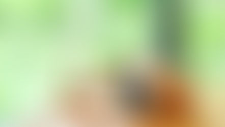 2026年3月27日　『誰かの為に』させて頂いた事が 仕事の役に立っていました・・