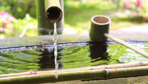 2024年9月2日　月並祭に！