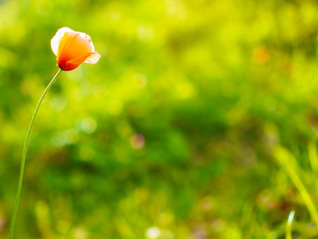 2024年6月24日　感謝の週末でした！