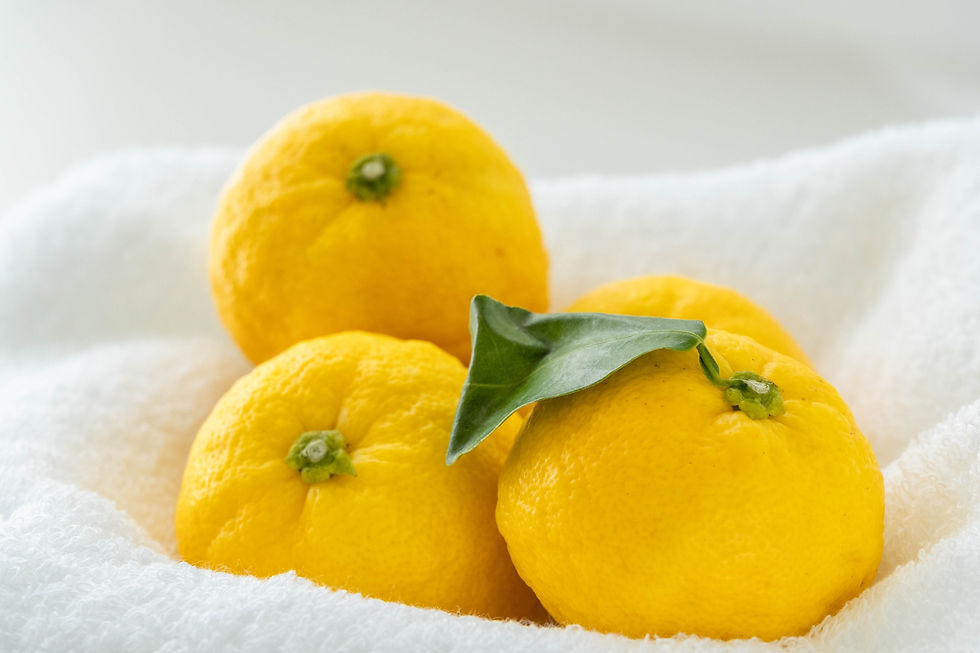 2025年12月22日 心軽やかに年末を迎えたい!(迎えます!)