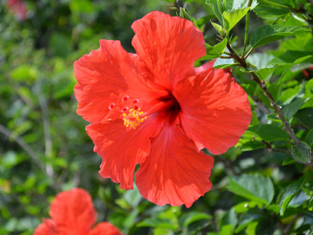 2024年6月12日　嬉しい時間でした！